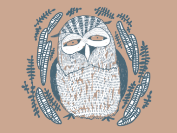 Owl_1